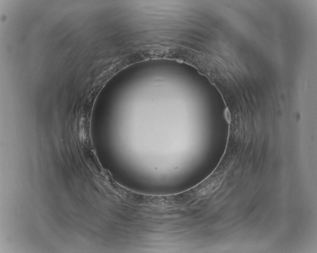 X0000071860962200606301358