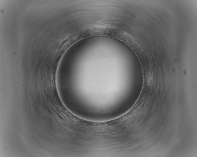 X0000071860964200606301358