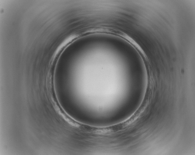 X0000071861053200606301357