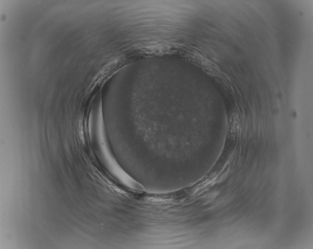 X0000071861202200606301353