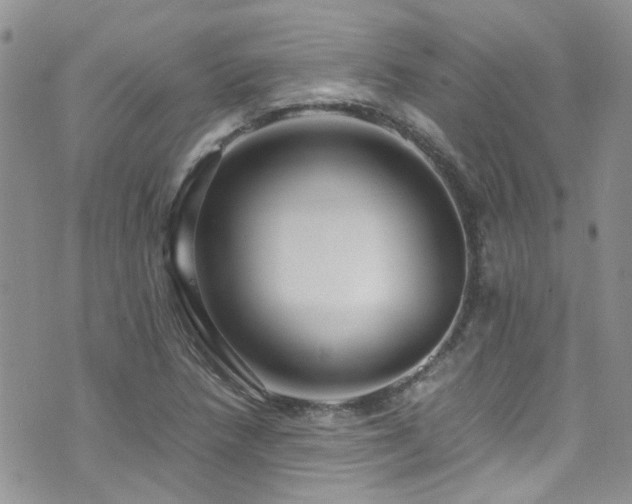 X0000071861218200606301354