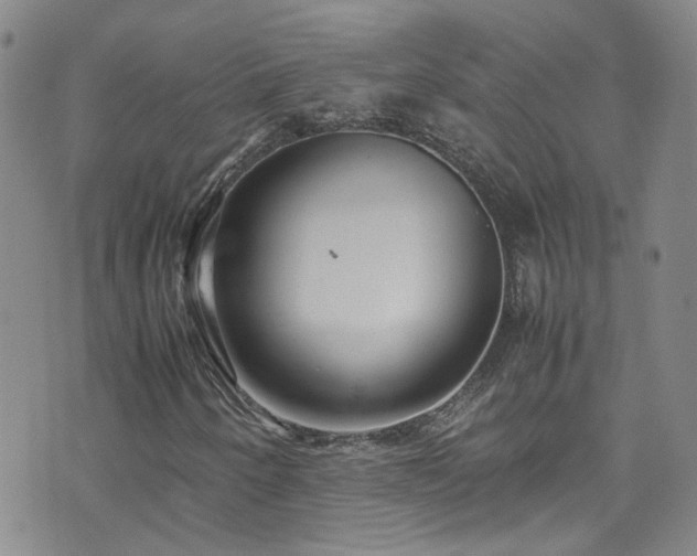 X0000071861250200606301353