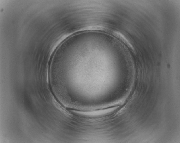 X0000071861276200606301353