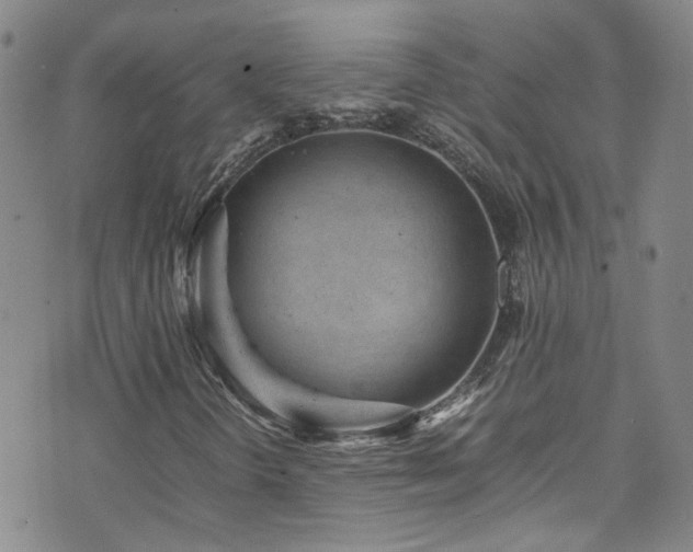X0000071861298200606301352