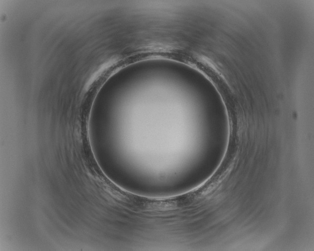 X0000071861307200606301352