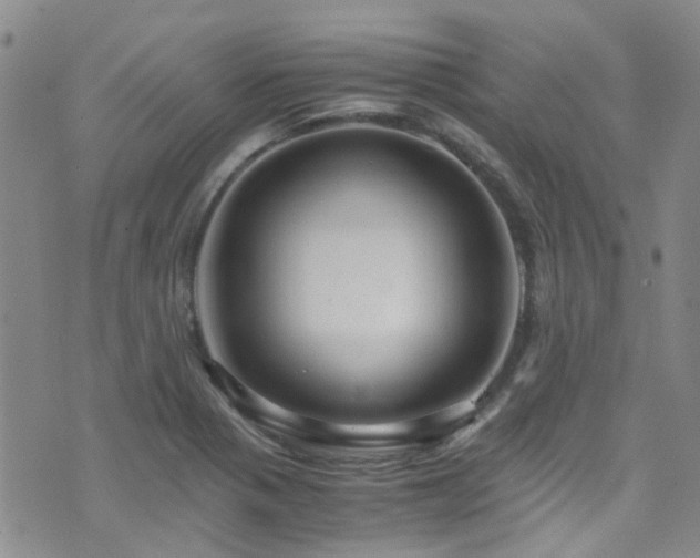 X0000071861321200606301352
