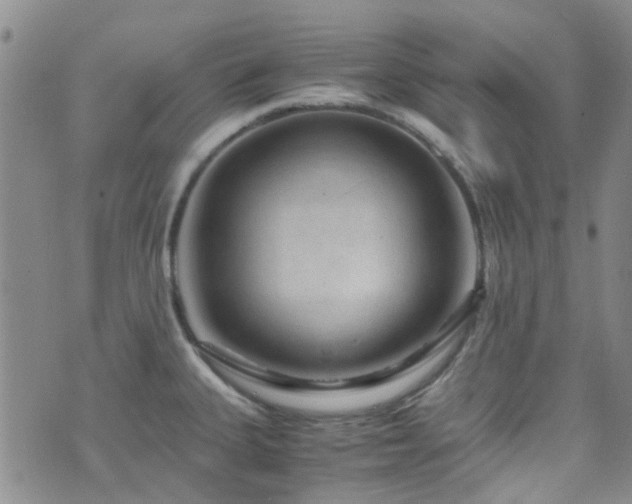 X0000071861335200606301352