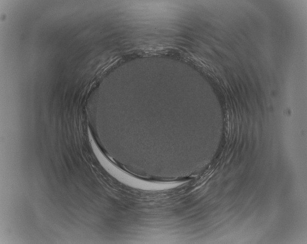 X0000071861346200606301352