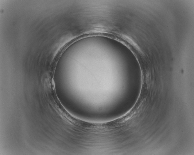 X0000071861356200606301352