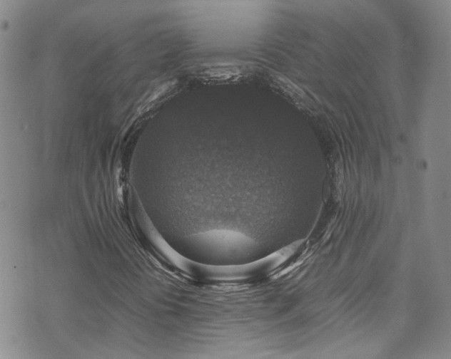 X0000071861394200606301350