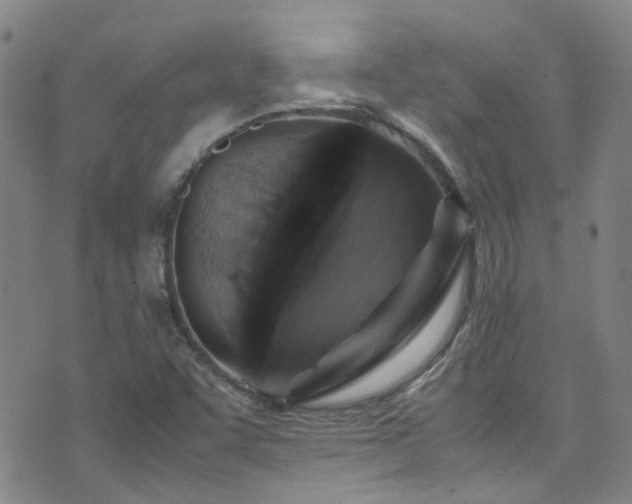 X0000071861455200606301350