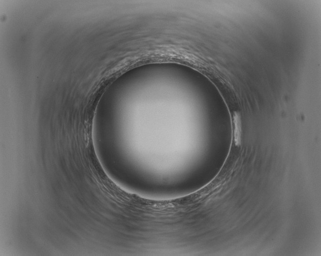 X0000071861491200606301349