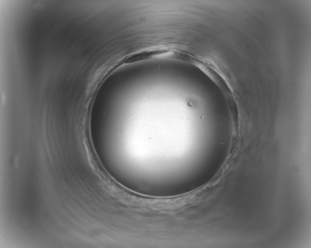 X0000071860001200607072339