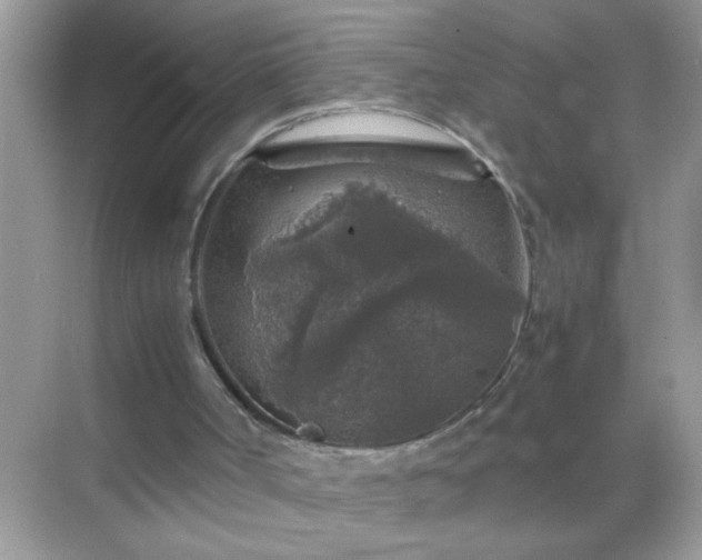 X0000071860002200607072339