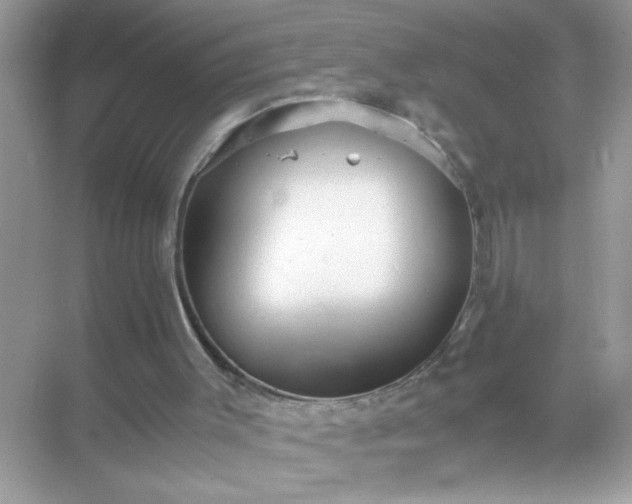 X0000071860003200607072339