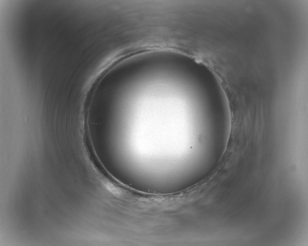 X0000071860005200607072339