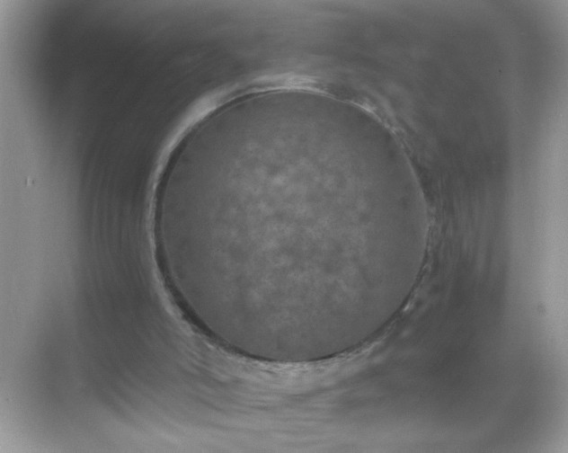 X0000071860006200607072339