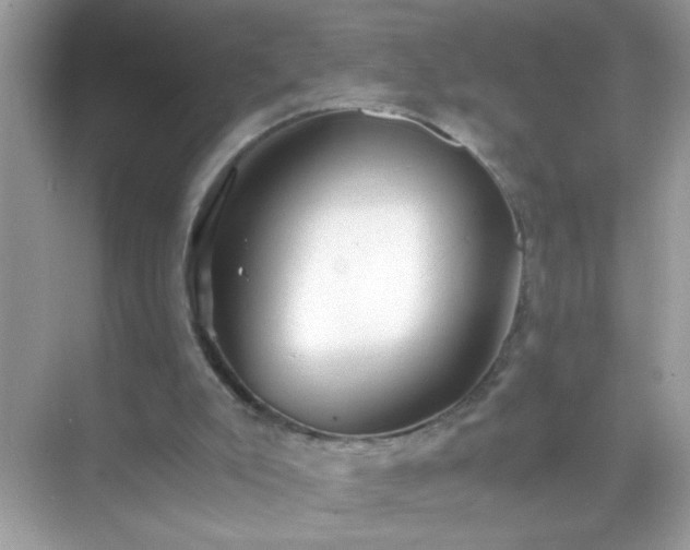 X0000071860007200607072339