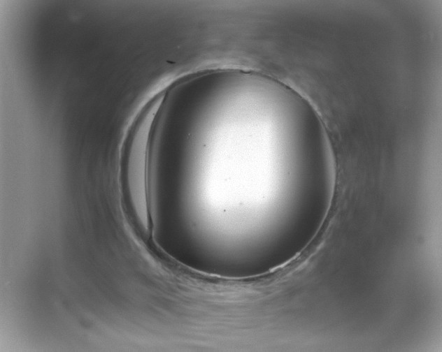 X0000071860008200607072339