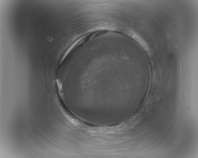 X0000071860009200607072339