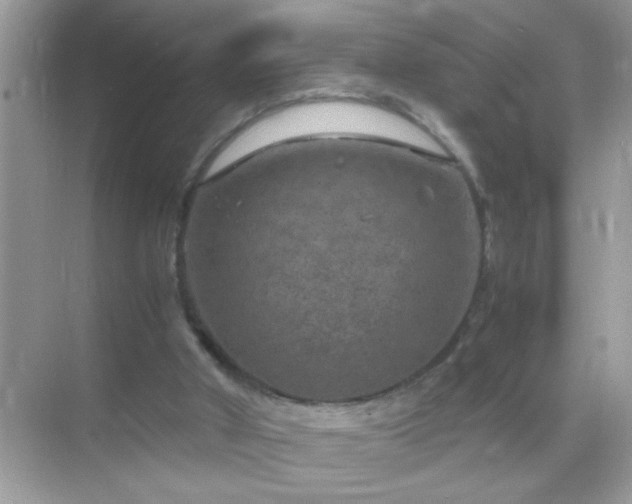 X0000071860010200607072339