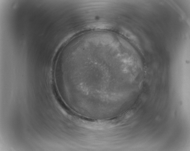 X0000071860012200607072339