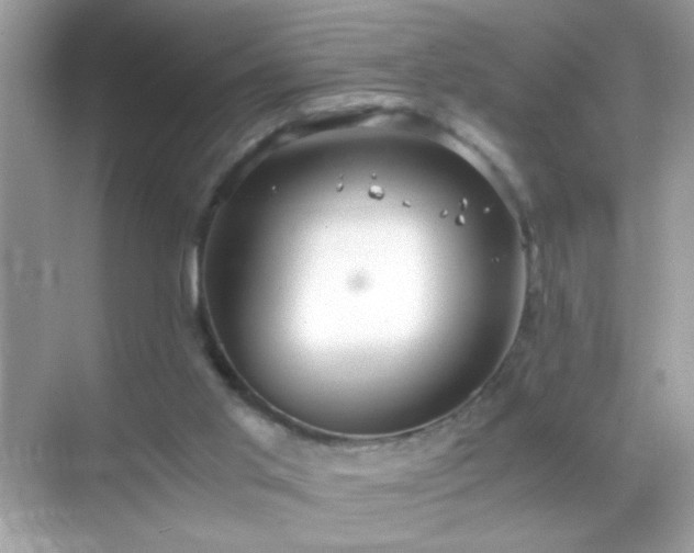 X0000071860013200607072339