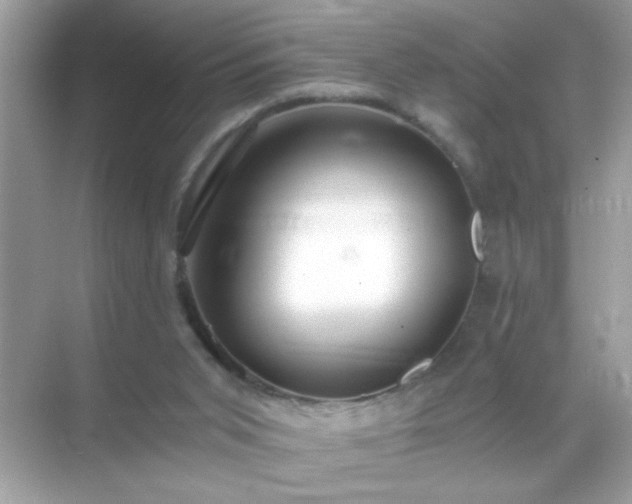 X0000071860015200607072339