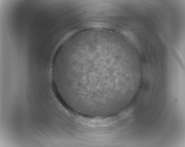 X0000071860016200607072339