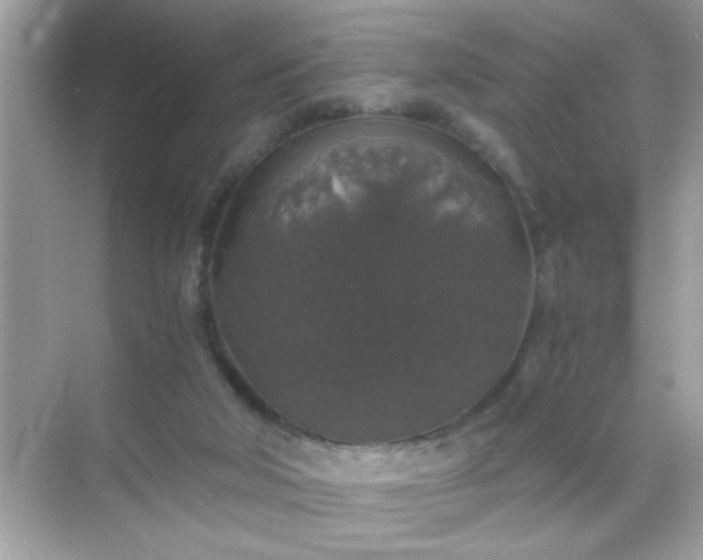 X0000071860018200607072339