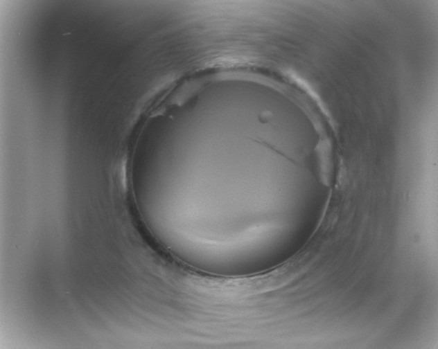 X0000071860019200607072339