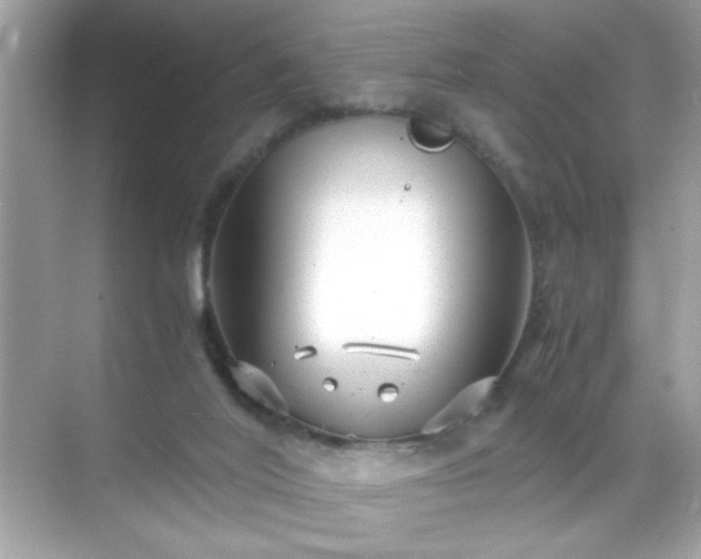 X0000071860020200607072339