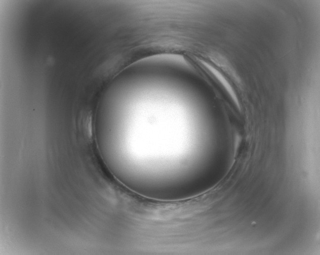 X0000071860021200607072339