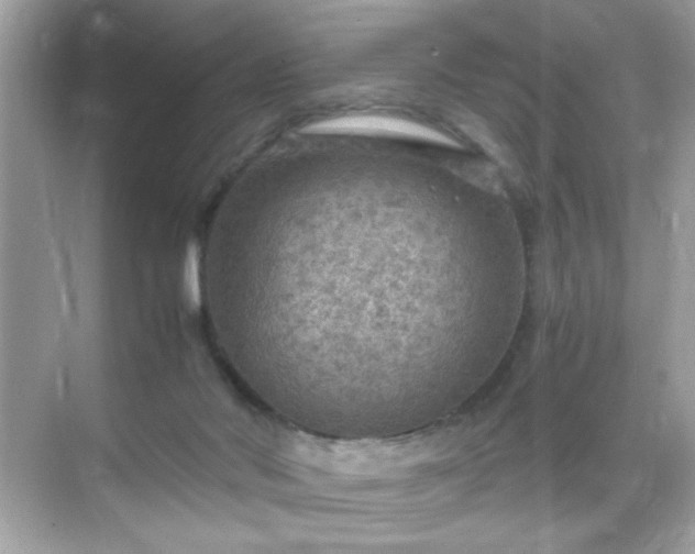 X0000071860022200607072339