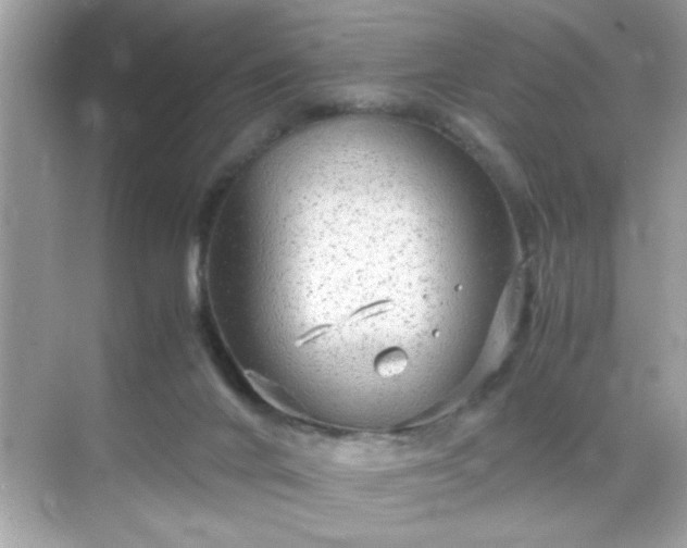 X0000071860024200607072339