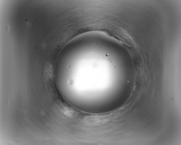 X0000071860025200607072339