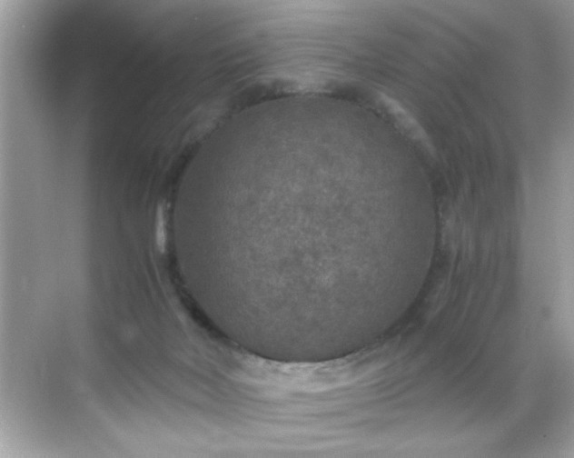 X0000071860026200607072339