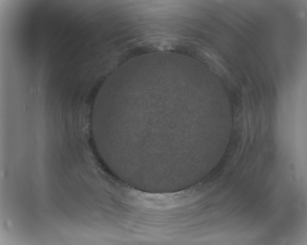 X0000071860030200607072339