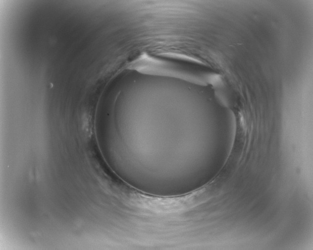 X0000071860031200607072339