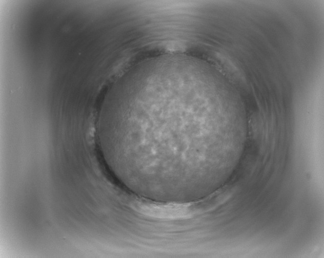 X0000071860032200607072339