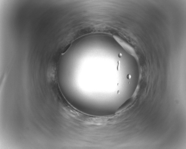 X0000071860033200607072339