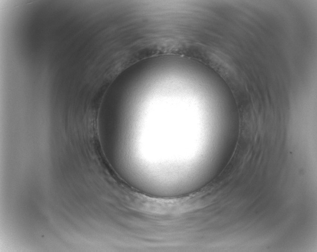 X0000071860034200607072339