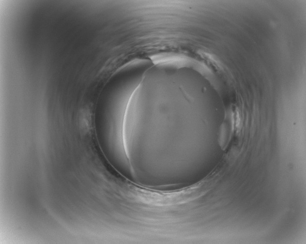 X0000071860035200607072339