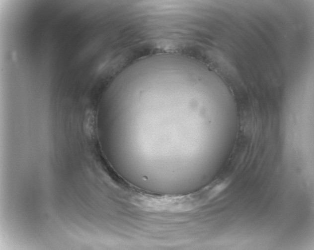 X0000071860036200607072339