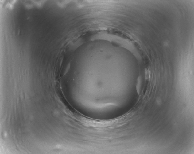 X0000071860039200607072339