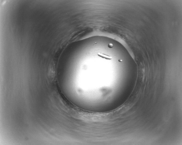 X0000071860040200607072339