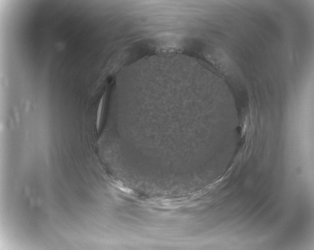 X0000071860041200607072339