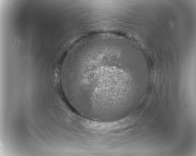 X0000071860043200607072339