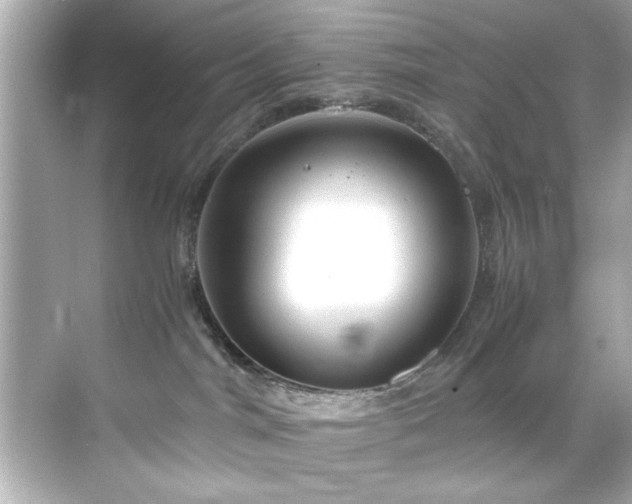 X0000071860044200607072339