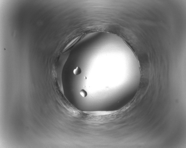 X0000071860045200607072339